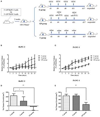 Pharmacometabolomics Identifies 3-Hydroxyadipic Acid, d-Galactose, Lysophosphatidylcholine (P-16:0), and Tetradecenoyl-l-Carnitine as Potential Predictive Indicators of Gemcitabine Efficacy in Pancreatic Cancer Patients